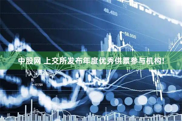 中股网 上交所发布年度优秀供票参与机构!