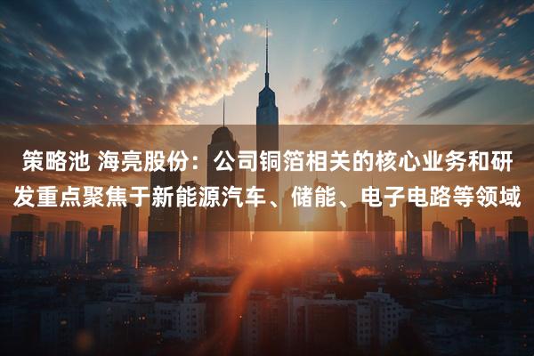 策略池 海亮股份：公司铜箔相关的核心业务和研发重点聚焦于新能源汽车、储能、电子电路等领域