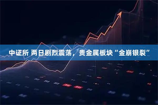 中证所 两日剧烈震荡，贵金属板块“金崩银裂”
