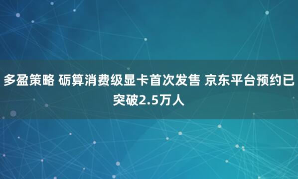 多盈策略 砺算消费级显卡首次发售 京东平台预约已突破2.5万人
