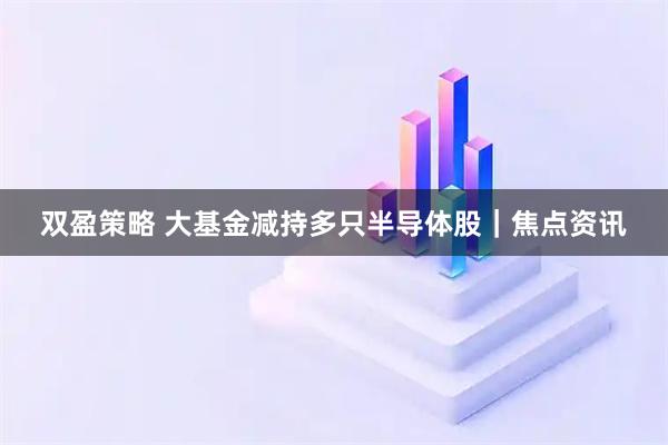 双盈策略 大基金减持多只半导体股｜焦点资讯