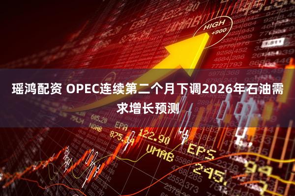 瑶鸿配资 OPEC连续第二个月下调2026年石油需求增长预测